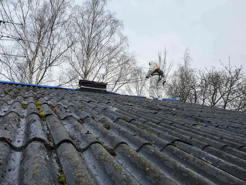 sanering av tak